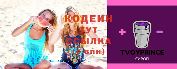 дурь Вяземский